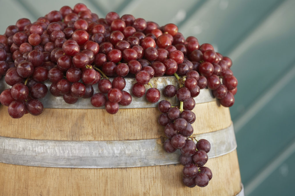 Homemade Wine grapes
